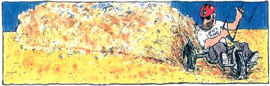 strip8.jpg